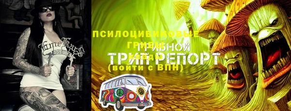 шишки Абдулино