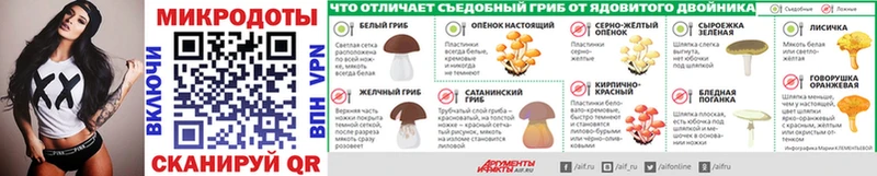 Псилоцибиновые грибы Cubensis  hydra ссылки  Талдом 